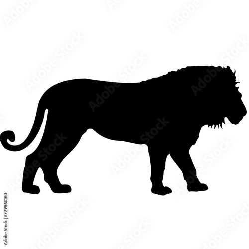 silhouette of a lion