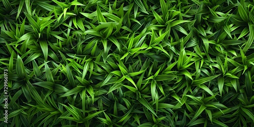 green grass pattern texture background