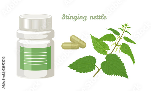Stinging nettle capsules.  Bottle of pills and green nettle plant. Vector cartoon illustration of dietary supplements.