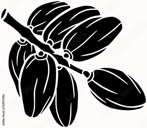 medjool illustration brown silhouette fruit logo food icon heap outline tree sweet date healthy palm tropical dry dates vegetarian shape tasty natural desert vector graphic background