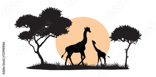 giraffes and savannah yellow sun vector silhouette