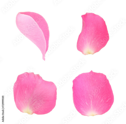 Wallpaper Mural Pink rose petals isolated on white, set Torontodigital.ca