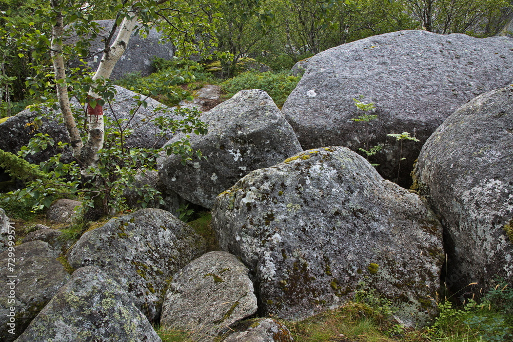 Granite rocks at Skulpturlandskap at Forvik in Norway, Europe 
