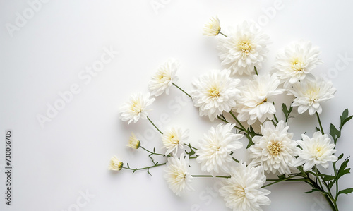 white flowers on white background  top view. Generative Ai.