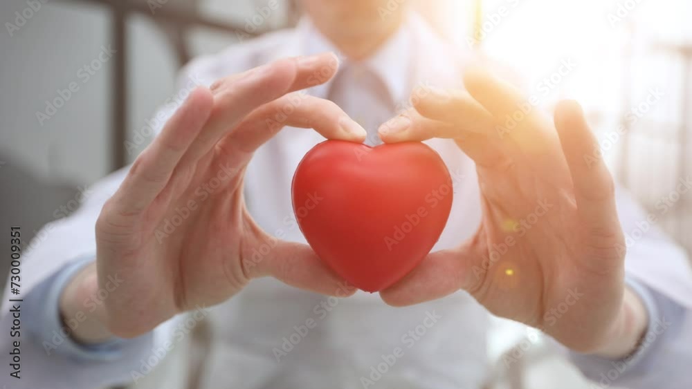 love concept. holding a red heart in hands.