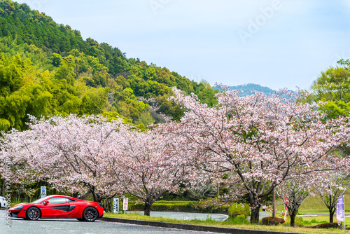 うららかな春日和に桜咲く心咲くスポーツカー
A heart-warming sports car with cherry blossoms blooming on a sunny spring day
きっと楽しく花咲くドライブですね。
It's sure to be a fun and enjoyable drive.
日本(春)
Japan (spring) photo