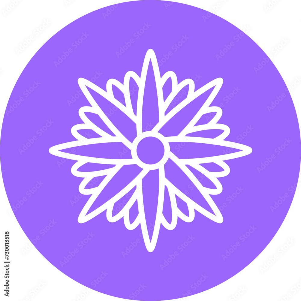 Aster Icon Style Aster Icon Style