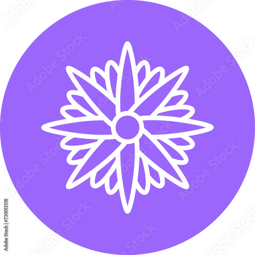 Aster Icon Style