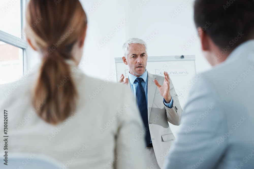 Presentation, coaching or seminar with business man in boardroom of office for employee upskill development. Training, teaching and serious manager in corporate workplace to explain our vision Presentation, coaching or seminar with business man in boardroom of office for employee upskill development. Training, teaching and serious manager in corporate workplace to explain our vision