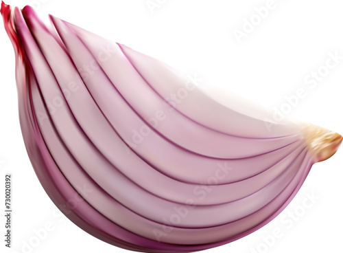 Ripe raw realistic red onion vegetable slice, isolated veggie 3d vector peeled quarter. Fresh, crisp, and pungent veg add a zesty crunch to meals, elevating flavors with bold, unmistakable aroma