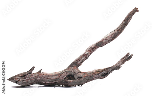 Dry rotten branch isolated on white