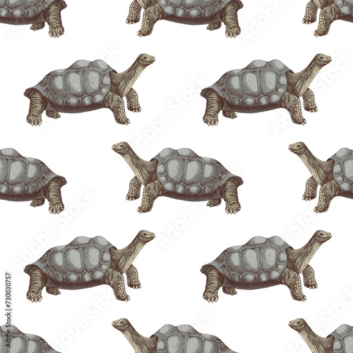 Pinta island turtle seamless pattern