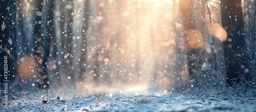 Winter forest with blurred snowflakes in morning light. Snowflakes spin and glow  creating a bokeh abstract background.