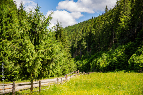 Mountain road, fence, blue sky. Mountain road, fence, blue sky, green coniferous forest. Oniferous forest. photo