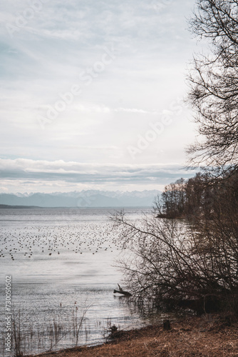 German Lakes  lakes in germany  alemania y sus lagos  vias nublados  cloudy day  beautiful view
