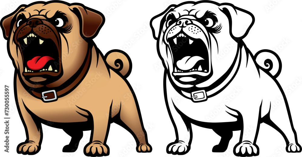 aggressive barking dog pug breed in a collar. aggressive barking dog pug breed in a collar.