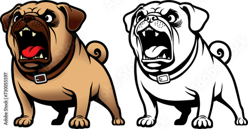 aggressive barking dog pug breed in a collar.