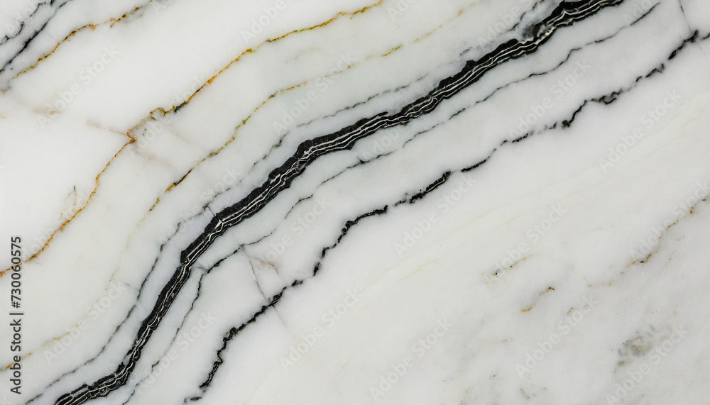 Fototapeta premium Oryginalna tekstura z kamienia naturalnego howlit, biało czarna, dekoracja płytka generative ai