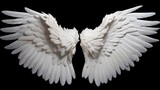 Delicate feathered white angel wings, meticulously arranged and extending against a black solid backdrop, symbolizing celestial purity and grace