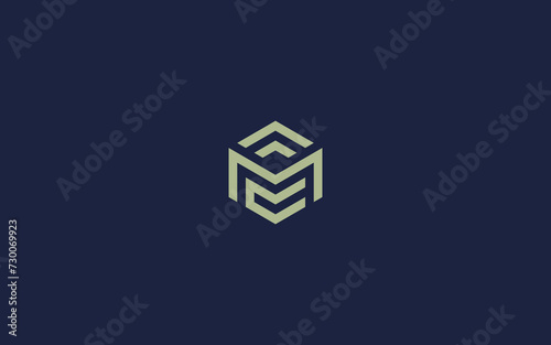 letter mc with hexagon logo icon design vector design template inspiration photo