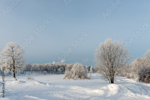 Winter landscape in a village on a sunny clear day. © kulkann