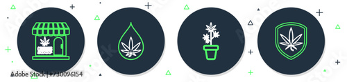 Set line Marijuana or cannabis leaf oil, plant in pot, and store and Shield marijuana icon. Vector