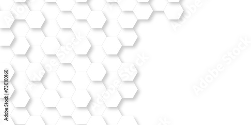  White Hexagonal Background. Luxury White Pattern. Vector Illustration. 3D Futuristic abstract honeycomb mosaic white background. geometric mesh cell texture. modern futuristic wallpaper.
