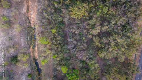 Aerial view of the forest in a tropical rural countryside in the dry season