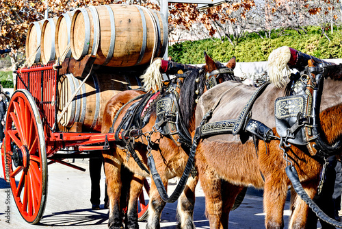 Horse parade at the festival of the three graves in Igualada, Barcelona. festivity of San Antonio