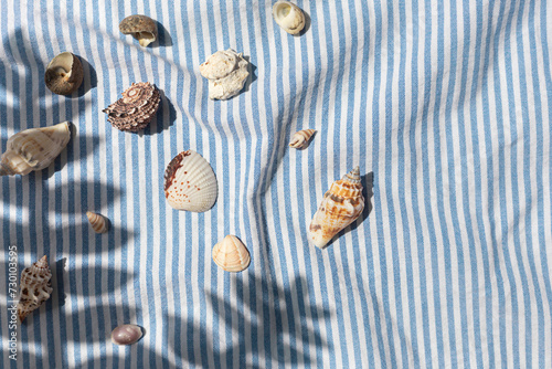 Different kinds of seashells on the blue striped fabric background top view. Copy space