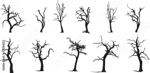 Fototapeta Naklejka Na Ścianę i Meble -  Set Trees. Hand drawn vector illustration