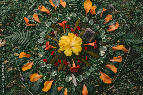 earth altar mandala of flowers and natural elements, ritual, ceremony