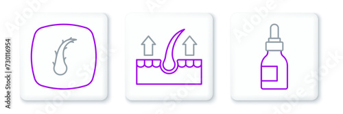 Set line Oil bottle, Human hair follicle and icon. Vector