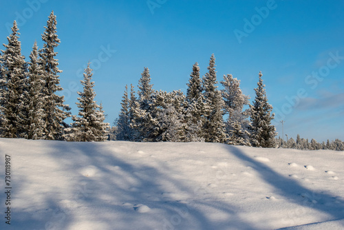 Idyllic panoramic view of a beautiful white winter wonderland scenery in Scandinavia with scenic golden evening light at sunset in winter, northern Europe.