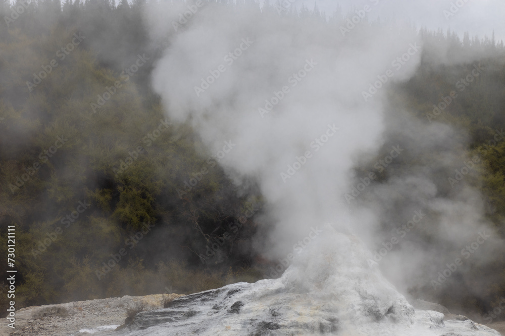 boiling geyser at wai o tapu on the north island of new zealand