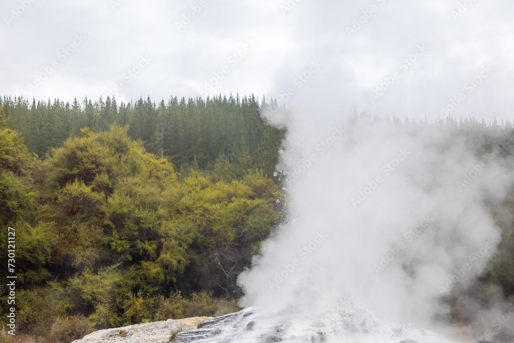 boiling geyser at wai o tapu on the north island of new zealand boiling geyser at wai o tapu on the north island of new zealand