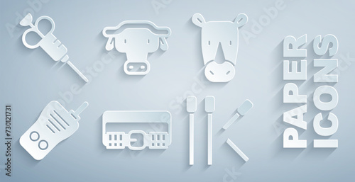 Set Hunting cartridge belt, Rhinoceros, Walkie talkie, Matches, African buffalo head and Syringe icon. Vector