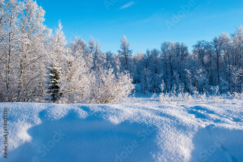 Idyllic panoramic view of a beautiful white winter wonderland scenery in Scandinavia with scenic golden evening light at sunset in winter, northern Europe.