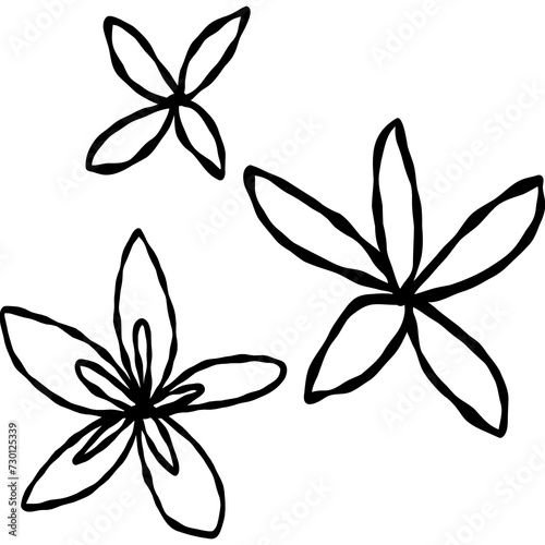 set of black and white flowers