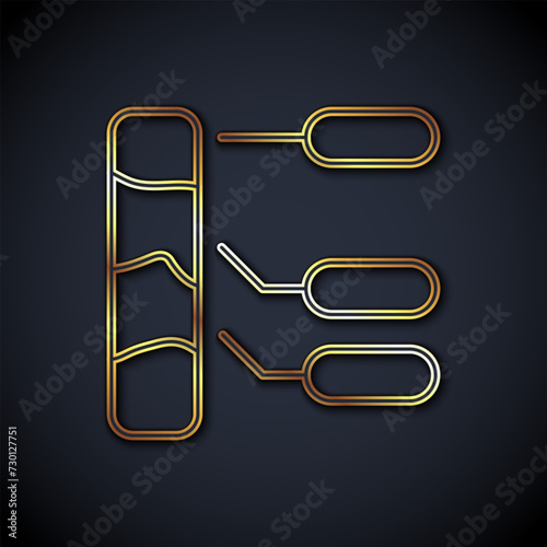 Gold line Agricultural soil test and results icon isolated on black background. Digital soil analysis. Vector