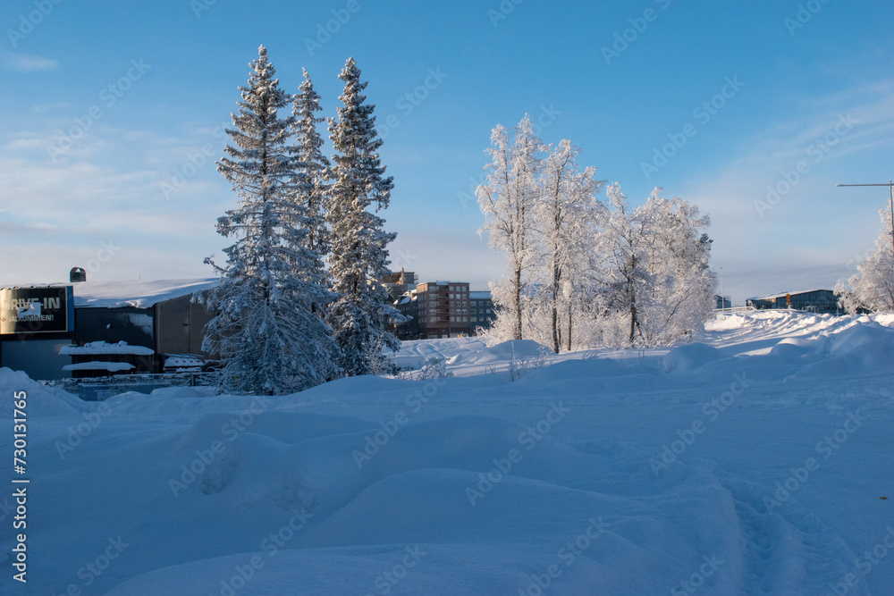 Obraz premium Idyllic panoramic view of a beautiful white winter wonderland scenery in Scandinavia with scenic golden evening light at sunset in winter, northern Europe.