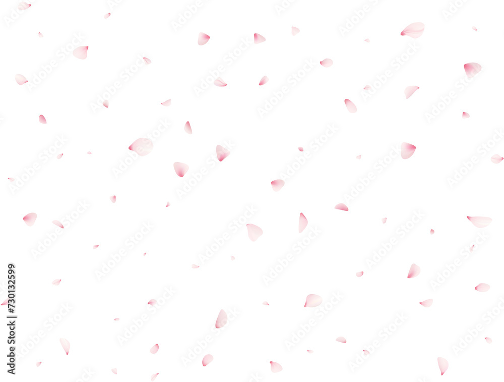 Cherry Flower Petals