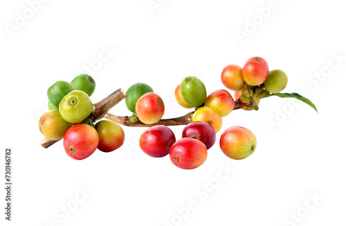 fresh coffee beans transparent png