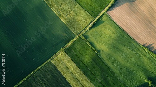 Aerial top view of panorama seen from above of the plain with the cultivated fields divided into geometric shapes in spring background, copy space