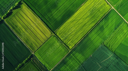 Aerial top view of panorama seen from above of the plain with the cultivated fields divided into geometric shapes in spring background, copy space photo