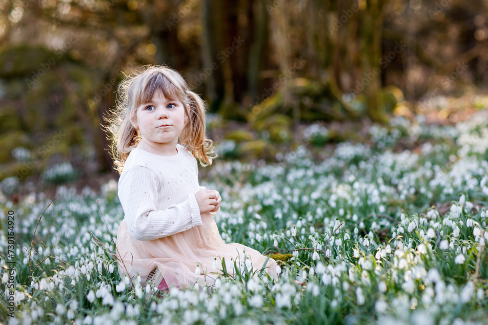 Little pretty toddler girl in a field of snowdrops. A child walks in the spring forest on sunny day. Happy kid admires beautiful springtime flowers. Blond smling girl in pink dress, outdoors Little pretty toddler girl in a field of snowdrops. A child walks in the spring forest on sunny day. Happy kid admires beautiful springtime flowers. Blond smling girl in pink dress, outdoors