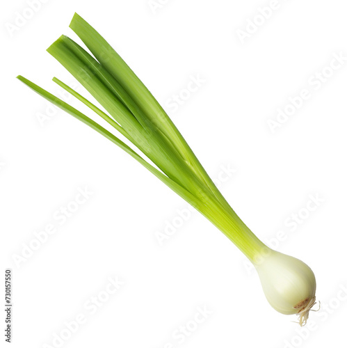 isolated illustration of green onion. Created with Generative AI