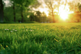 Green lawn in the foreground against a blurry sunset or sunrise background