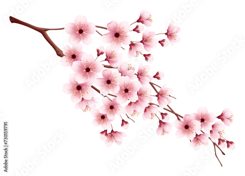 Pink Cherry Blossom Flower Branch