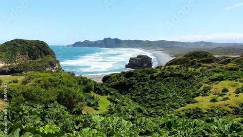 Panoramic view of the beach at cucao in tepuheico park with a forest of nalcas (Gunnera tinctoria), Chiloe, Chile photo
